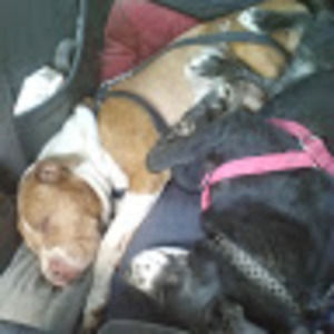 Meet your Posher, Jeffrey